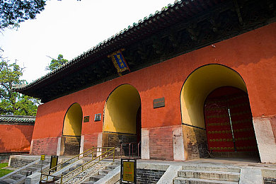 五月婷婷丁香五月｜青春心声，网络世界的情感宣泄之旅