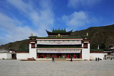 天天爱综合｜拥抱多彩生活，开启“天天爱综合”新生活方式，享受全面幸福人生-3