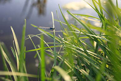 一线天和馒头比的区别｜理想与温情交织下的生活哲学探索-4