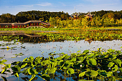 裸体按摩WWW性XXXCOM|裸体按摩争议:隐私边界与行业监管的反思-2