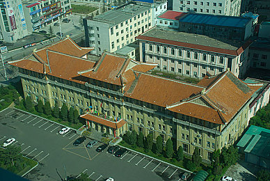 男女打扑克剧烈运动|激情牌桌,性别无关,友谊与智慧碰撞-3