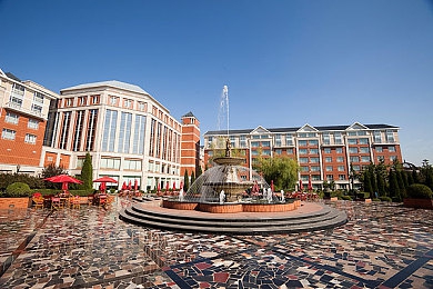 麻花传媒春节回家相亲孟孟|麻花艺人孟孟春节相亲引热议:公众人物隐私保护引关注-2