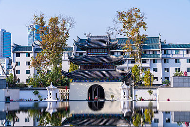 skixiwaskino2023年美国｜文化盛宴跨国界，友谊之花绽放美国-2