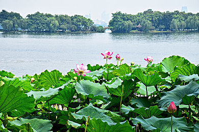 女班长扒开 强行让学生揉｜“校园暴力阴影下：班长扒衣事件拷问教育伦理与制度缺失”-2
