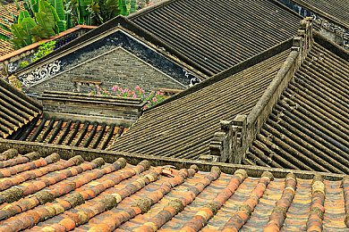 福瑞furry游戏game18|福瑞奇幻之旅,绘梦互动盛宴-2