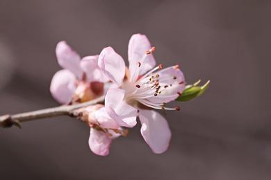 拍击 挨打网站|“网络奇观引争议:挨打平台,释放压力还是法律红线?”-2