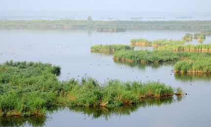 免费看黄色视频｜青少年虚拟世界中的风险与保护之道-2