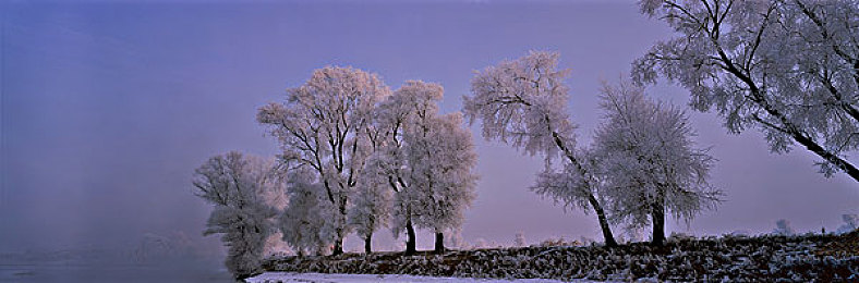 杨敏思版｜打破思维定势，创意无限挑战之旅-3