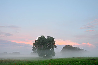 性推油按摩技师XXXXX|探索神秘游戏职业:性推油按摩技师,解锁身心愉悦之旅-1