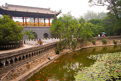 搞机time直接打开不用不收钱中国长安网 信家圈｜搞机新天地，信家圈免费畅享