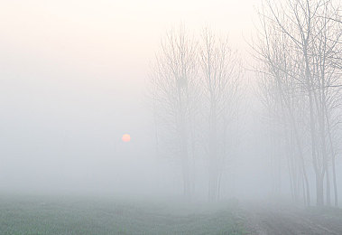 小南娘翻白眼流口水流眼泪｜揭秘惊悚生理反应：小南娘神秘现象背后的健康密码-4