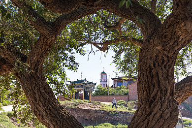 糖心传媒｜糖心传媒揭秘：创新技术驱动甜蜜传播，助力品牌价值飞跃-2