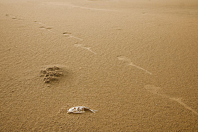 一性一交一口添一摸视频｜创新互动体验：一性一交一口添一摸视频引领娱乐新潮流-3