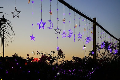 十大看黄软件｜网络安全警钟长鸣：“十大看黄软件”警示网络环境整治刻不容缓-3