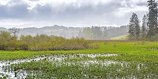 花季传禖3.0.27|揭秘:花季传禖3.0.27软件,传承文化与现代科技完美融合-2