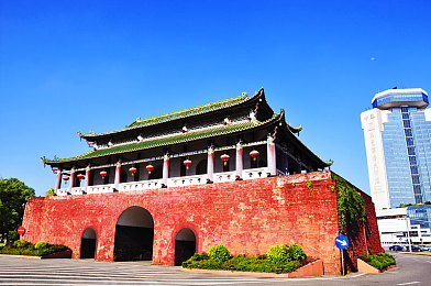 五月婷婷丁香六月|花卉盛宴引发社区情感与环保觉醒-1