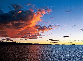 玛露和园丁1982年意大利｜玛露花园奇遇记：1982意大利温馨传奇-2