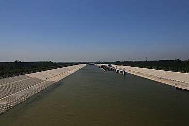 台湾佬中文娱乐22｜新生代崛起，台湾文化如何影响华语娱乐圈-4