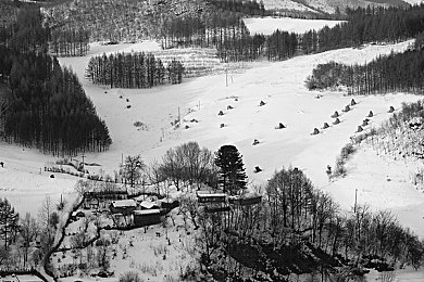 黄色ai｜“揭秘‘黄色AI’：技术挑战、社会影响与监管措施全解析”-5