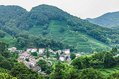 37大但人文艺术仙林踪|探寻千年仙林秘境,感受人文艺术瑰宝魅力-1