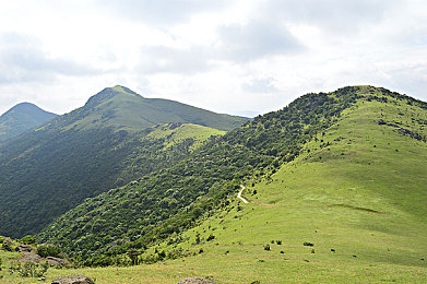 少妇厨房激情做爰69XX｜浪漫厨房：少妇激情烹饪之旅-3