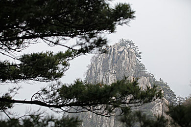 海影库|深海探险之旅:邂逅奇遇,畅游百种海洋生物-2