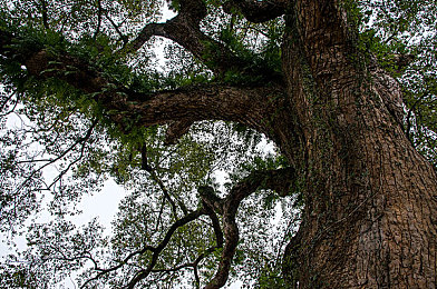 哔哩哔哩高清直播频道推荐｜畅游哔哩哔哩，尽享高清游戏直播盛宴