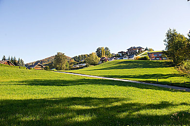 男人与雌性动啪啪｜揭秘自然奇观：深入解析动物交配行为，探寻快乐之源与繁衍奥秘