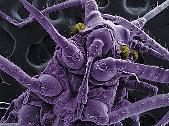 校霸抽烟被学霸打哭了｜校园霸凌风波：学霸制止校霸吸烟引发肢体冲突，社会关注青少年教育问题-1