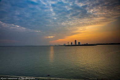 黑料不打烊官网苹果｜真相与谎言的博弈在网络间交锋-2