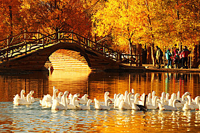 荷兰农场主七个女儿｜荷兰七姐妹：农业领域的巾帼英雄，家族荣耀与社会典范-3