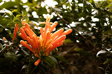 巨大黑迪克vs娇小亚女小说｜跨界性格碰撞，幽默成长之旅：揭秘《巨大黑迪克vs娇小亚女》魅力所在-2