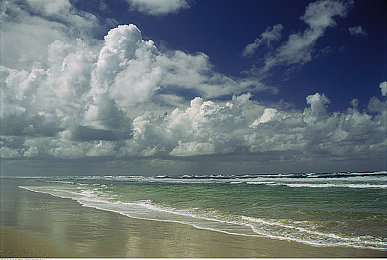 男人和女人在床上的app｜床伴互动乐园，解锁激情新体验-3