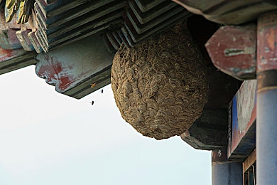 下载3.0.3每天无限免费大全苹果｜苹果用户热捧“下载3.0.3”：每日免费应用，市场新活力涌动