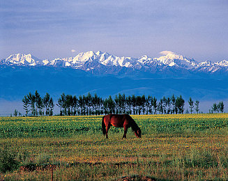 国精产品一区一区三区四|国精科技引领市场新潮流:“一区一区三区四”系列创新产品备受瞩目-4