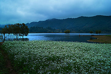 好大 好爽 快点深一点床戏软件｜揭秘低俗，守护清朗网络，畅游无界-2