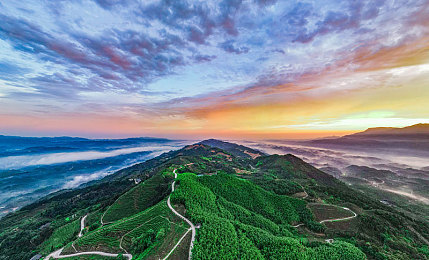 含羞草 成人网站一天一次｜网络监管漏洞引发热议：揭秘“含羞草”成人网站访问异常现象-1