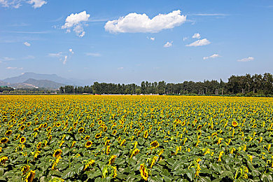 羞羞漫画  免费登录入口｜成人漫画盛宴，畅游“羞羞”世界-1