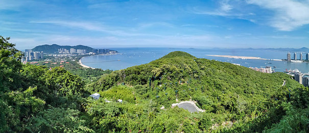 九九色视频｜净化网络，健康同行：挑战“九九色”的道德之旅-3