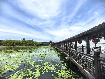生物繁殖课老师拿我举例子|课堂奇遇:生物繁殖课上的意外“明星”体验分享-1