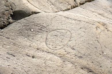 黄色草莓视频｜神秘虚拟世界探险启程：深度解析《黄色草莓视频》冒险之旅-2