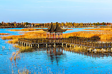 业余半老成熟自由性别业余的定义｜跨界人生：探索多元业余，成就自由性别之旅-5