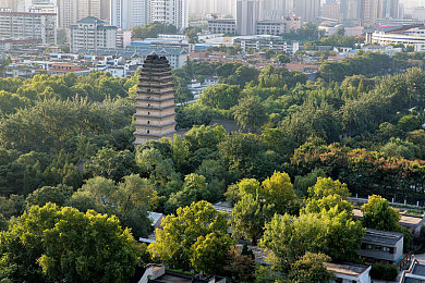 黄色软件免费下载3.03｜揭秘免费宝库：畅享“黄软3.03”下载新体验-4