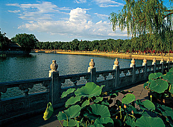 免费污软件｜揭秘免费游戏陷阱：警惕“免费污软件”暗藏危机-2