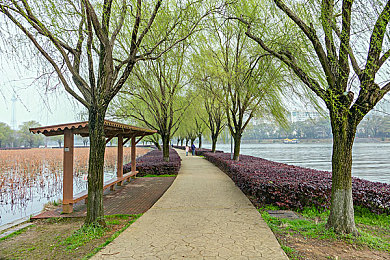 白袜体育生自慰ChinaGay｜网络污言秽语泛滥，道德法治观念亟待提升-2