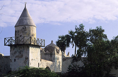 夜月直播app下载免费看｜夜月直播全新上线，用户热议期待中