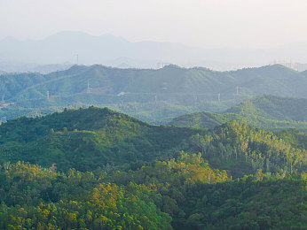 中国大肥胖VPSWINDOWS|揭秘VPS行业“大肥胖”现象:性能、成本与资源浪费的隐忧-3