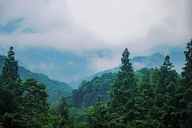 被黑人侵犯人妻明里｜尘封历史揭开：19世纪美国黑人女性悲剧“明里”遭受侵犯-3