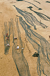 和亲女洗澡时做了爱｜浴池风波：道德伦理与家庭关系的反思之旅-1