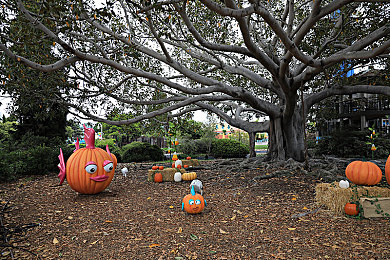 gogogo免费看高清屏幕｜畅游虚拟视界，高清盛宴任你享受-2